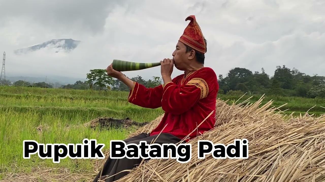 Pendokumentasian Pupuik Batang Padi