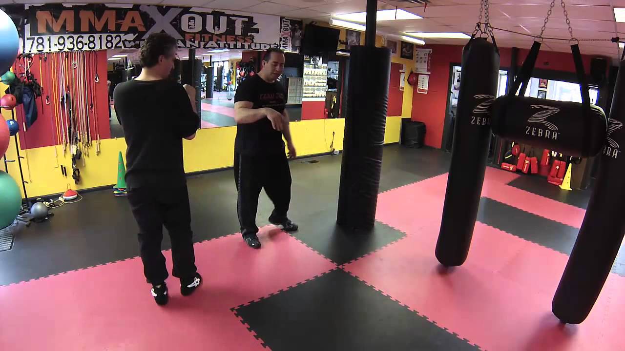 JKD Spinning-Back-Kick VS Karate Kick!