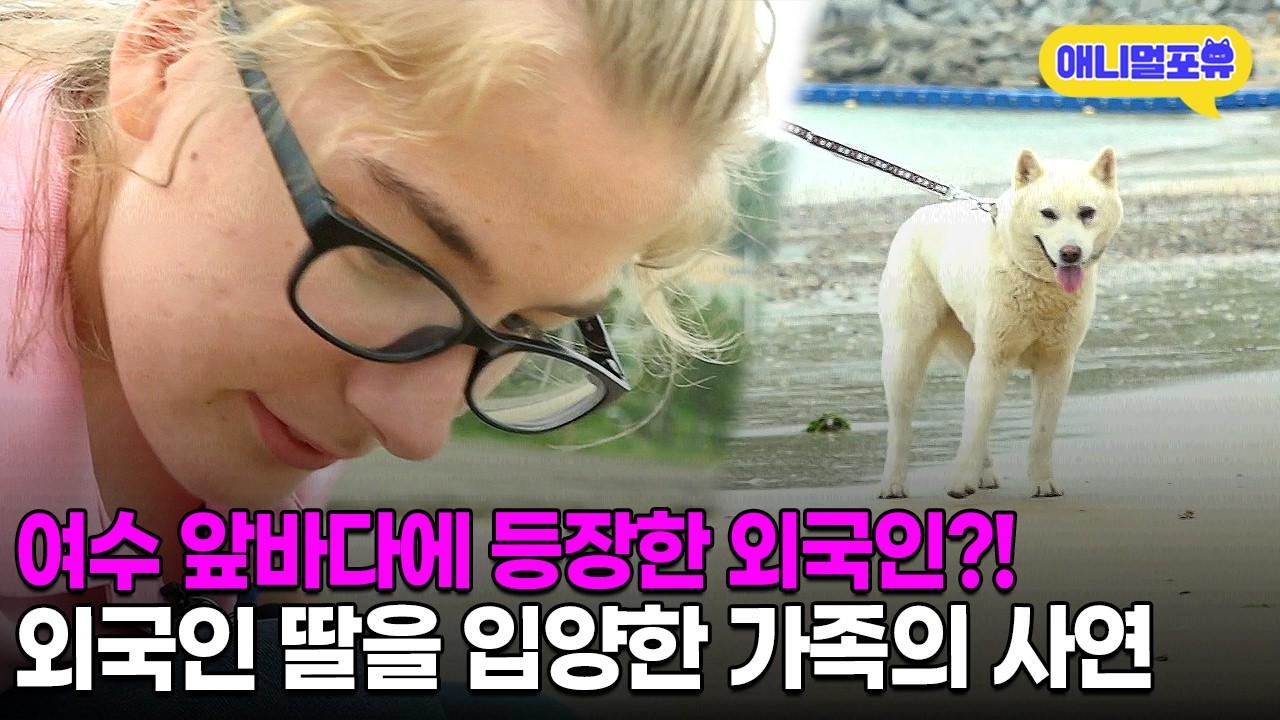 단란한 가족에 진돗개와 외국인 소녀?! 여수 외국인 가족의 사연ㅣKBS 인간극장