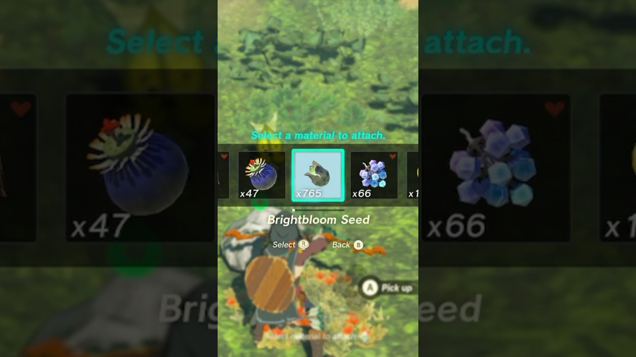 korok VS brightbloom seed!! Tears of the Kingdom
