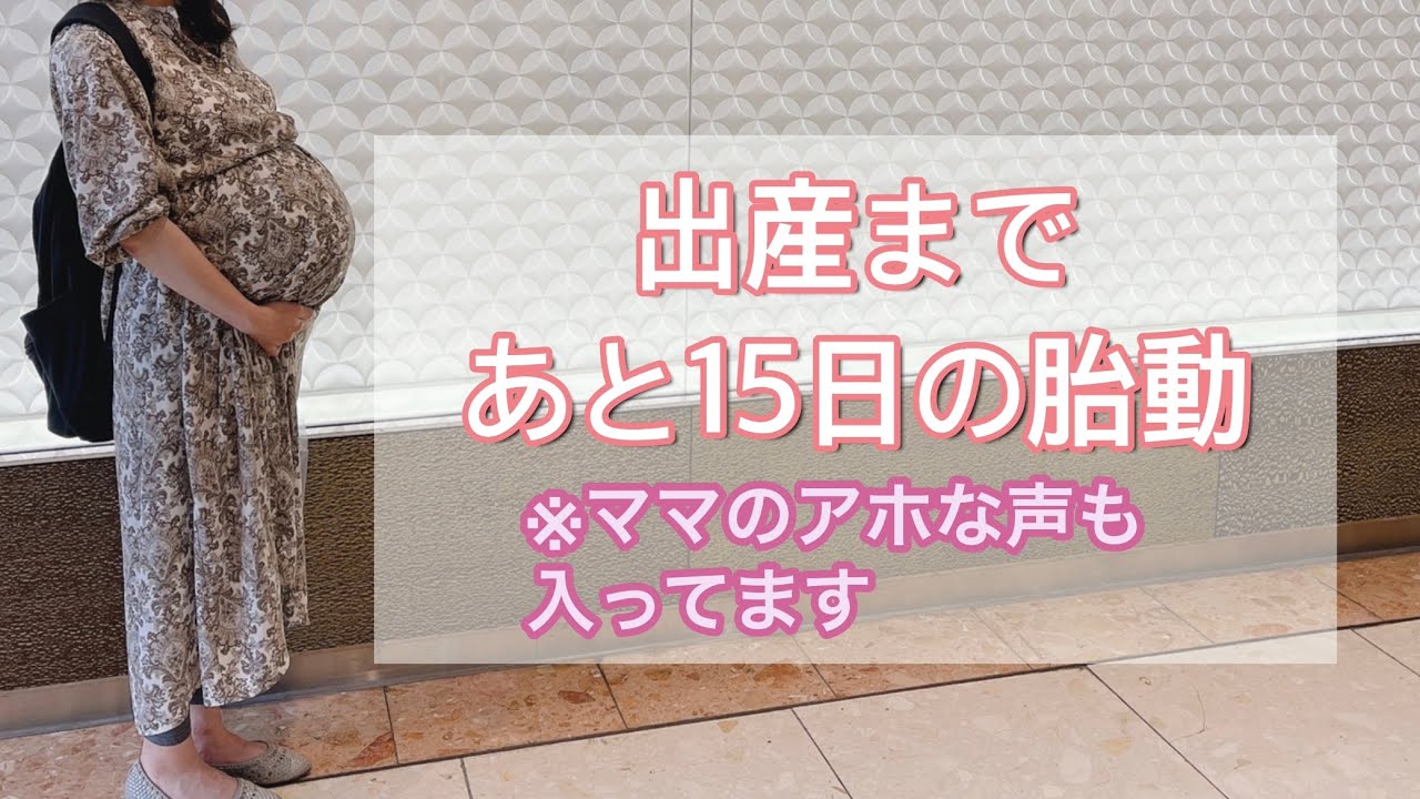 出産まであと15日！の胎動