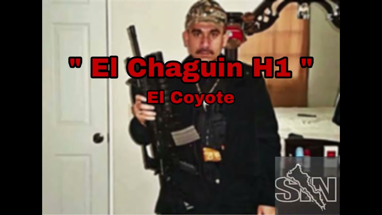 El Chaguin H1 - El Coyote