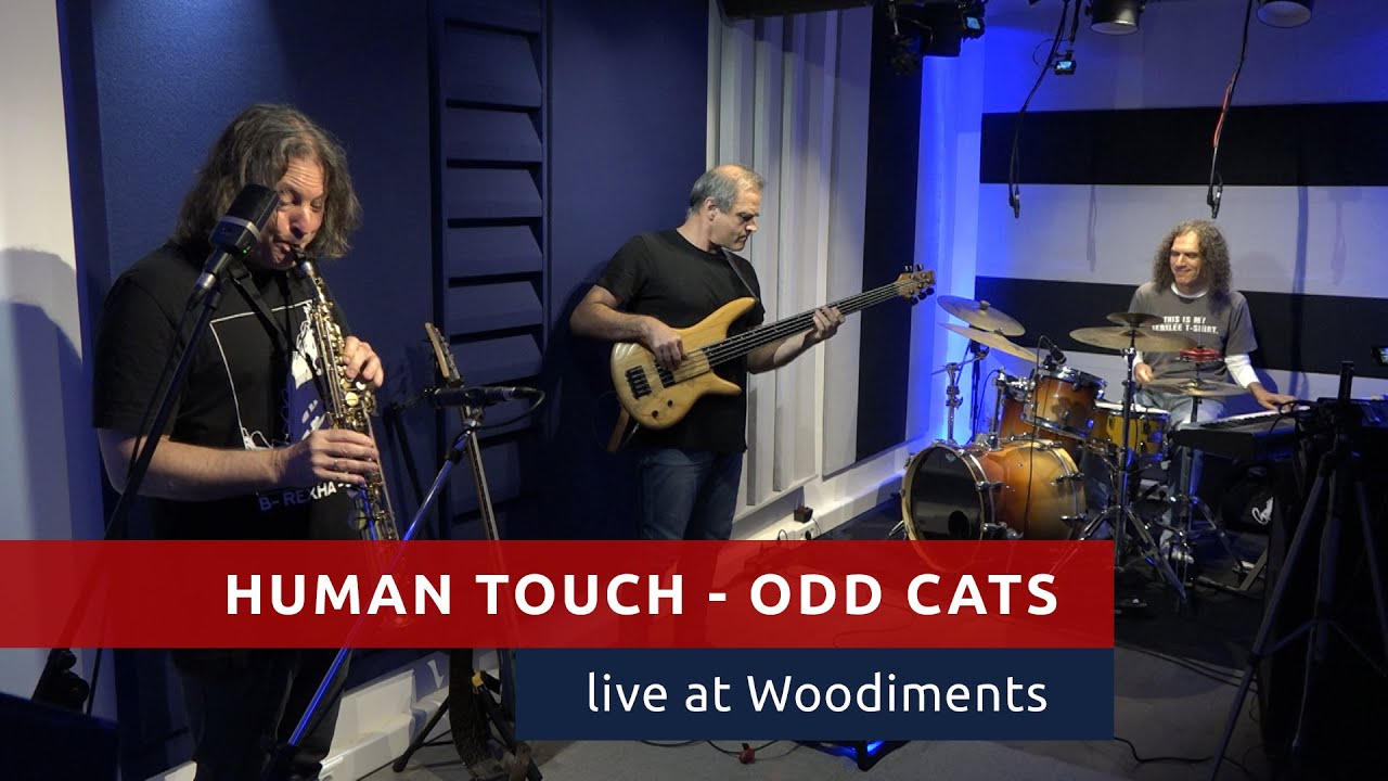 Human Touch - Odd Cats (live at Woodiments)