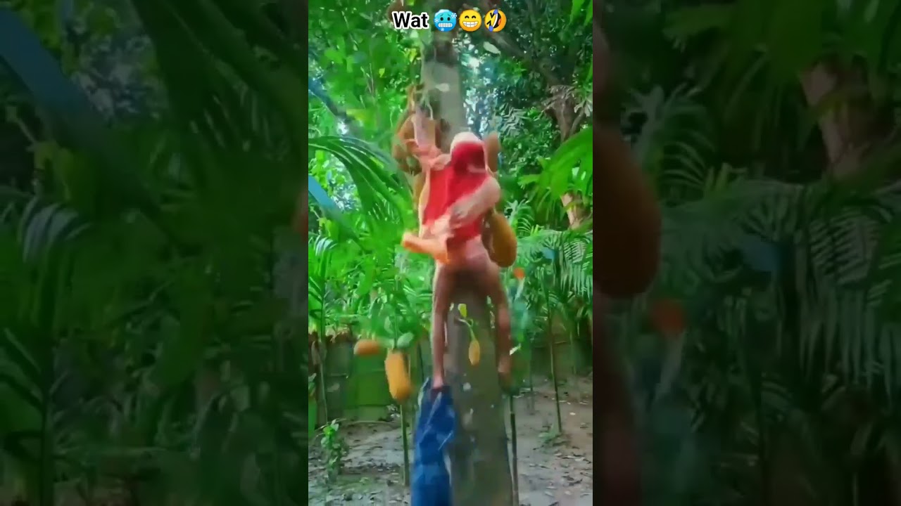 कटहल की चोरी 🤣😁🥶#funny #comedy #shorts #youtubeshorts #ytshorts #yt #shortvideo #shortsfeed #video