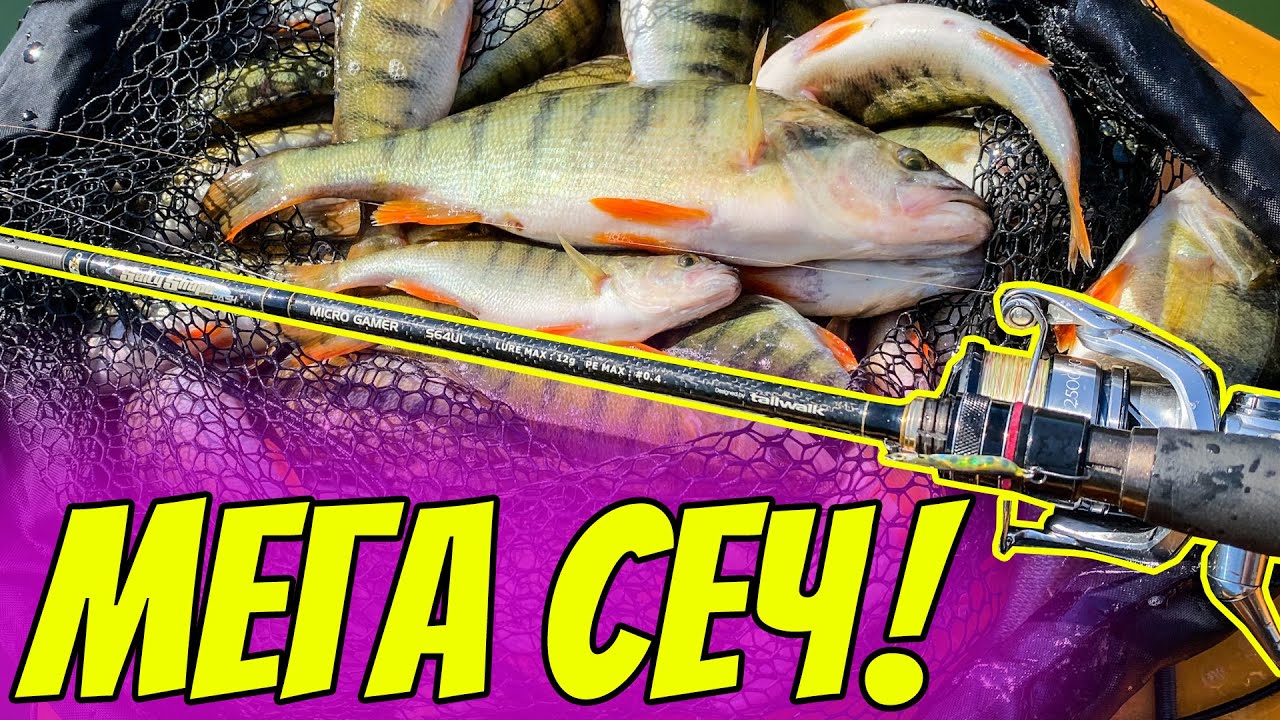 МЕГА СЕЧ! ДЪРПАМ ПО 3 КОСТУРА В МИНУТА. Риболов на костур на язовир Александър Стмболийски
