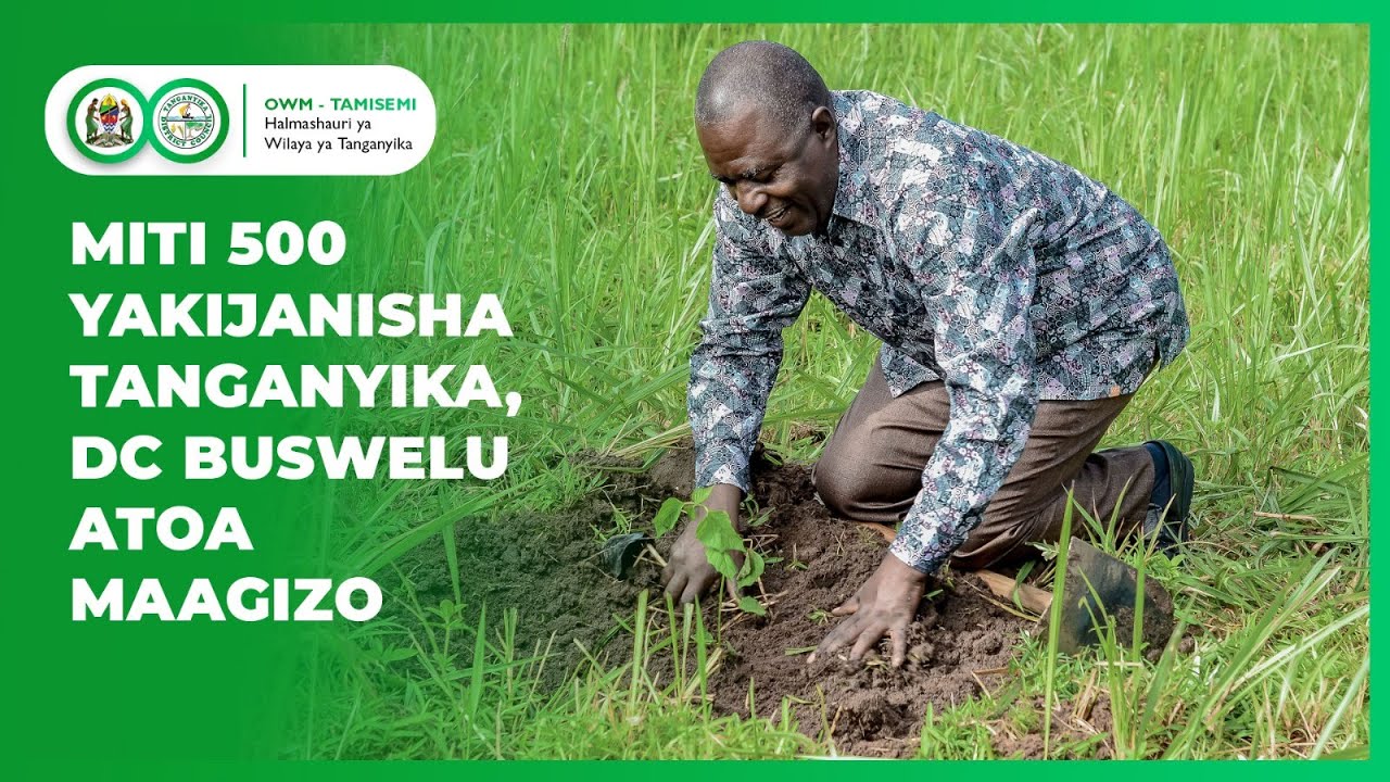 MITI 500 YAPANDWA TANGANYIKA, RAIS SAMIA APONGEZWA UTUNZAJI MAZINGIRA, DC BUSWELU AAGIZA HAYA.