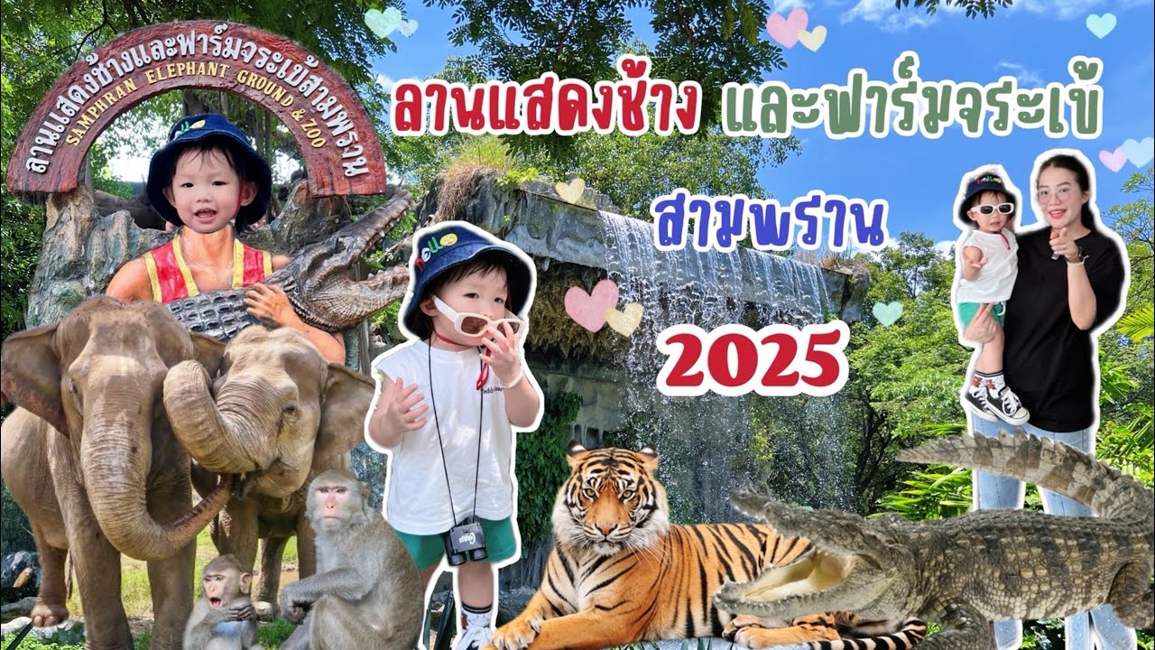 อัปเดต! ปี 2025 |