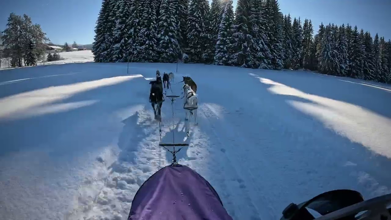Haidmühle 11.01.2026 31km