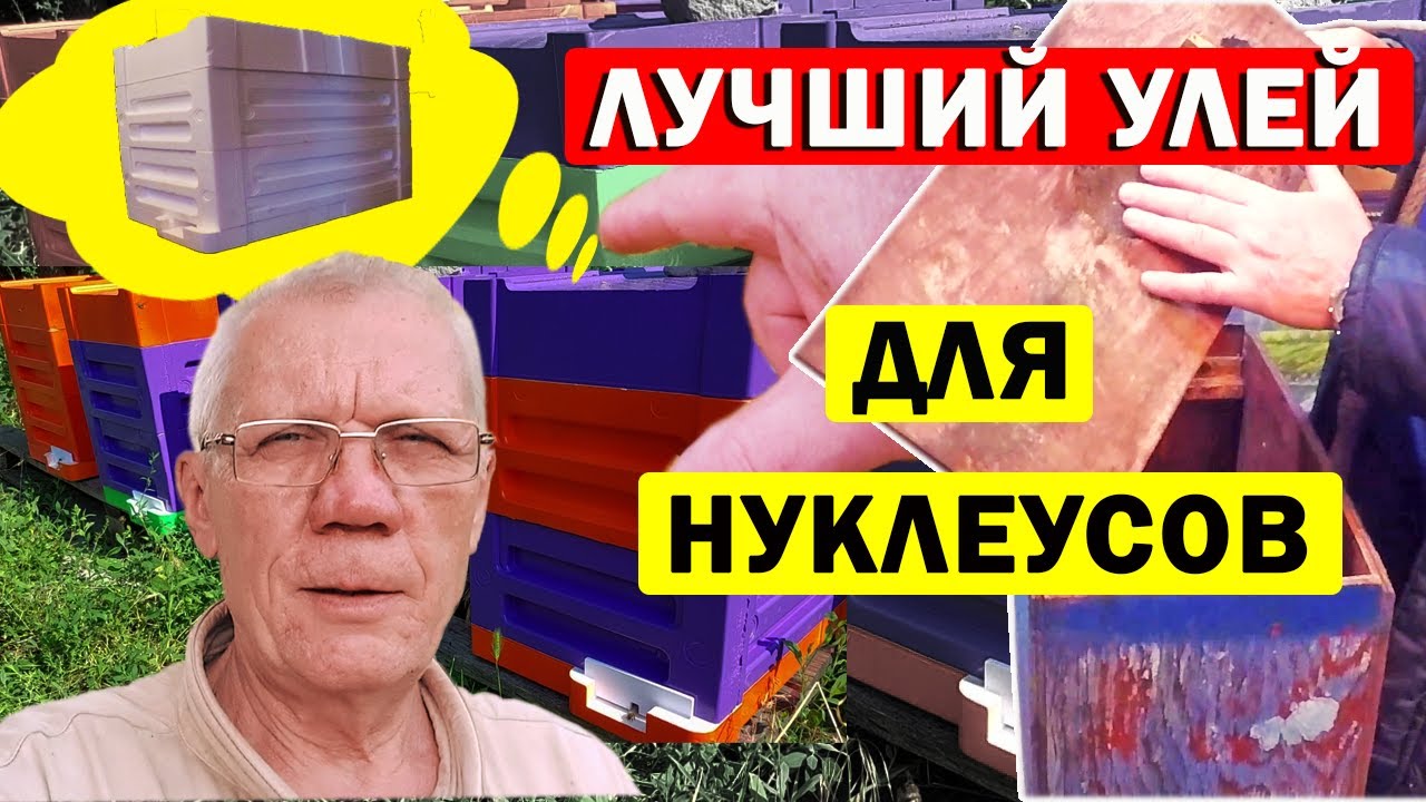 Нуклеус для пчел. Что лучше? Изготовить или купить?