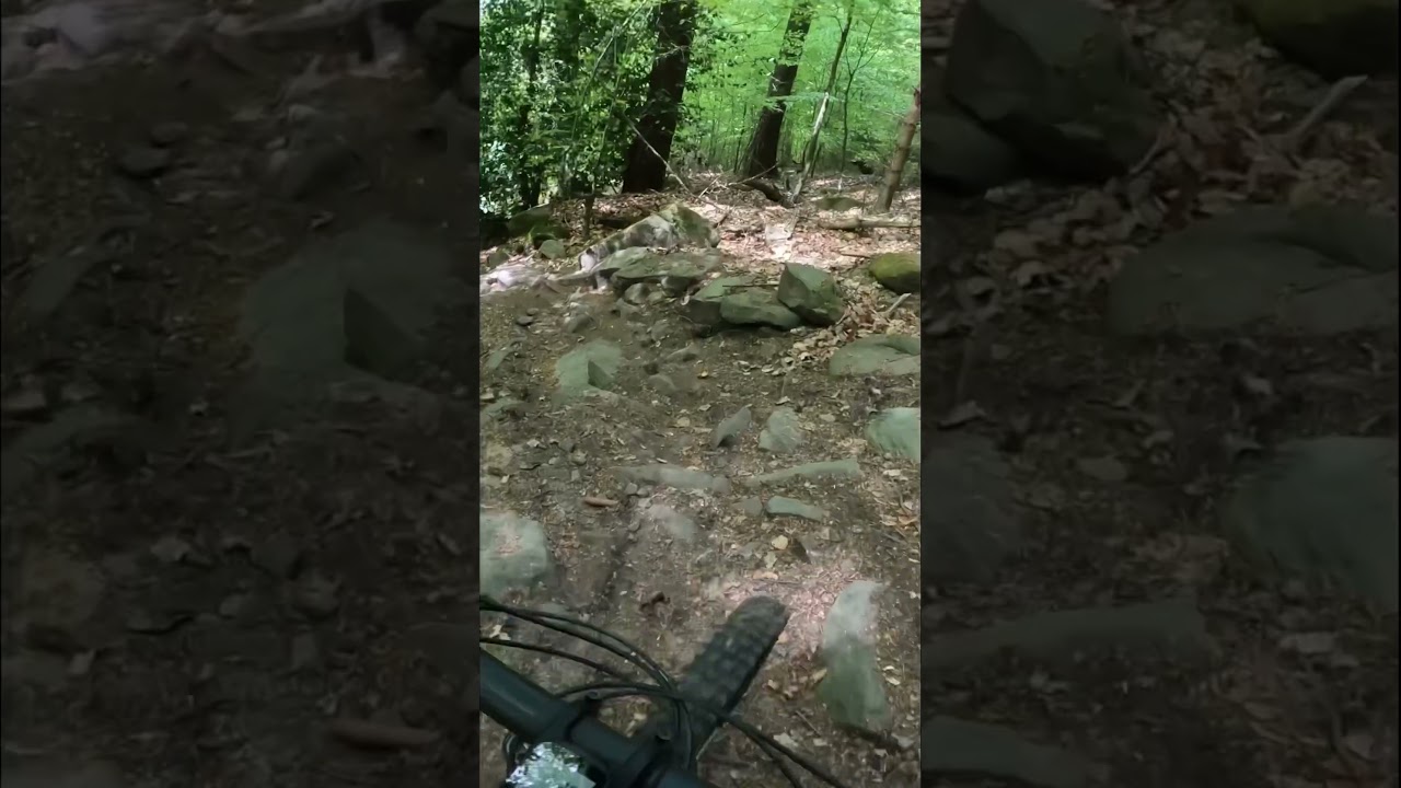MTB Enduro Trail 