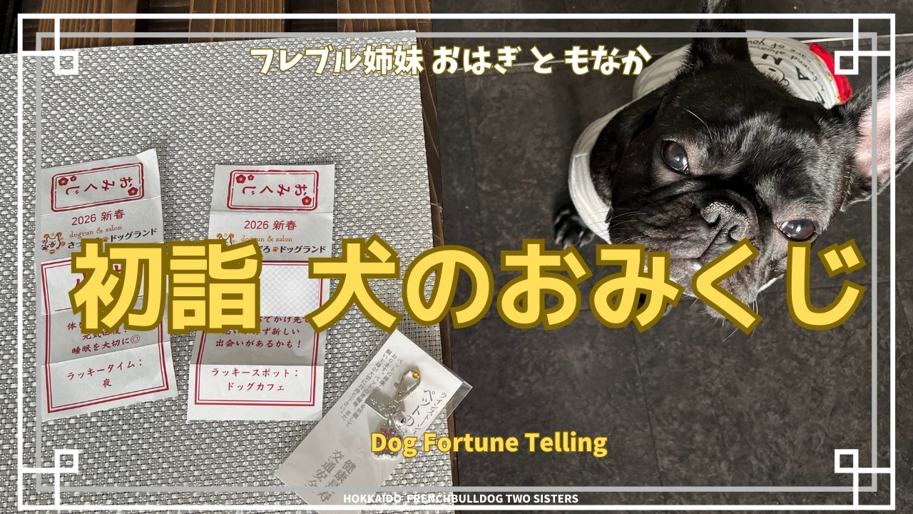 祈りから始まる一年｜フレブル姉妹と先代犬に会いに行く初詣／A Winter Day with French Bulldog Sisters｜Prayers, Snow & Naps