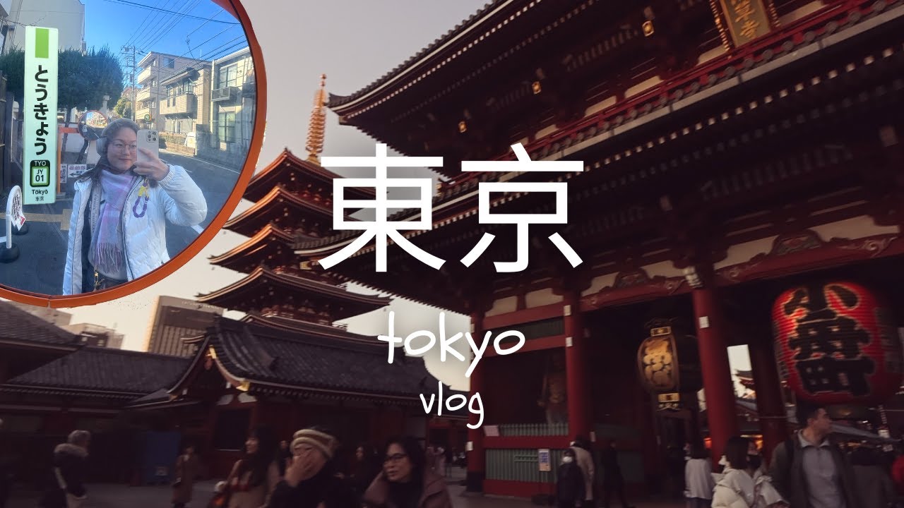 the ULTIMATE tokyo japan travel guide