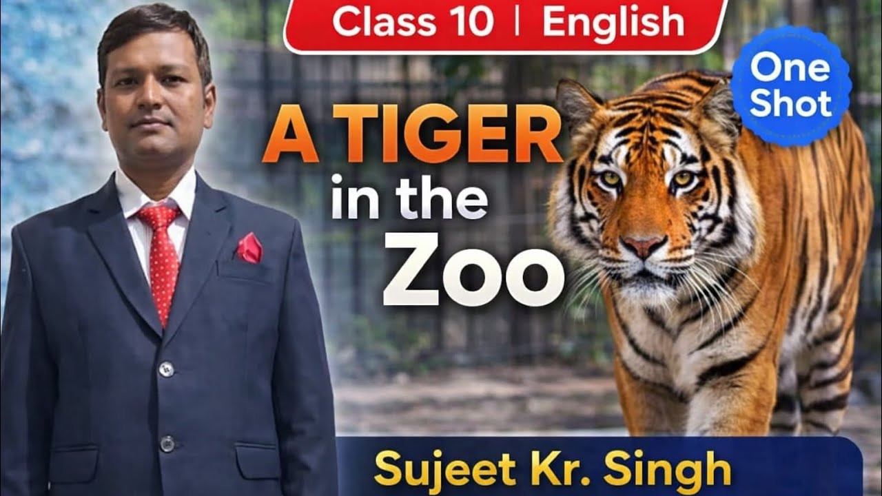 A Tiger in the Zoo Poem Class 10 | One Shot Explanation in Hindi | CBSE English