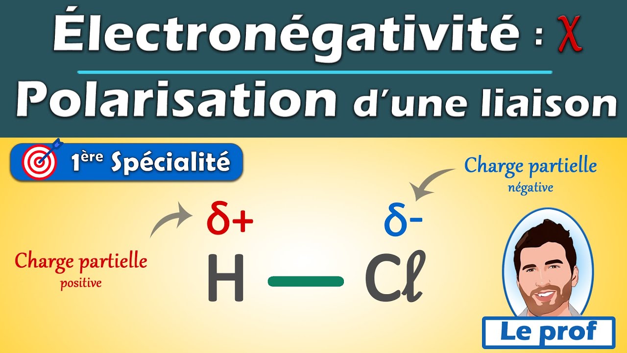 Électronégativité et POLARISATION d'une liaison covalente | 1ère spé - Physique chimie | Lycée