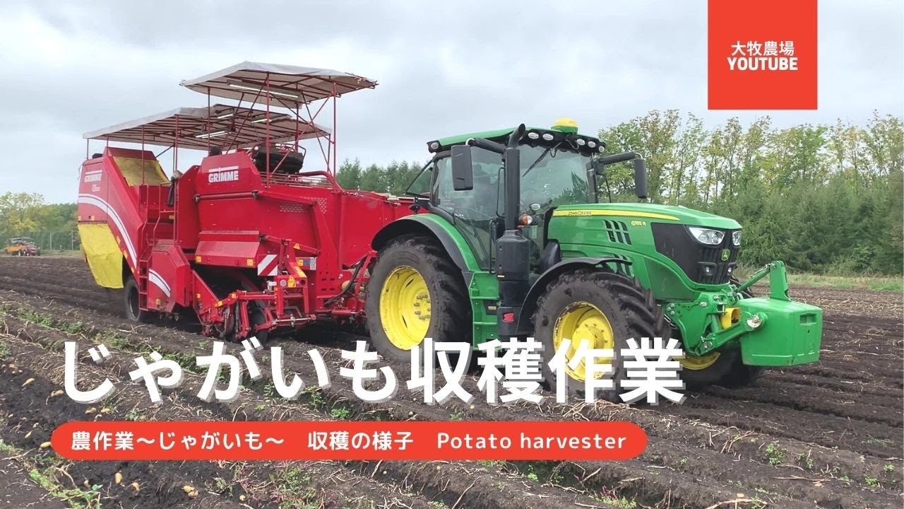 【農作業じゃがいも】じゃがいも収穫作業～Potato harvester～