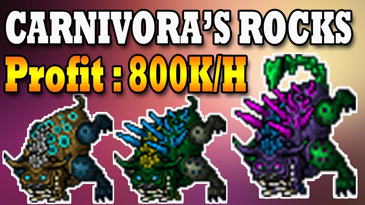 CARNIVORA'S ROCKS | 800K PROFIT 😲 - Tibia