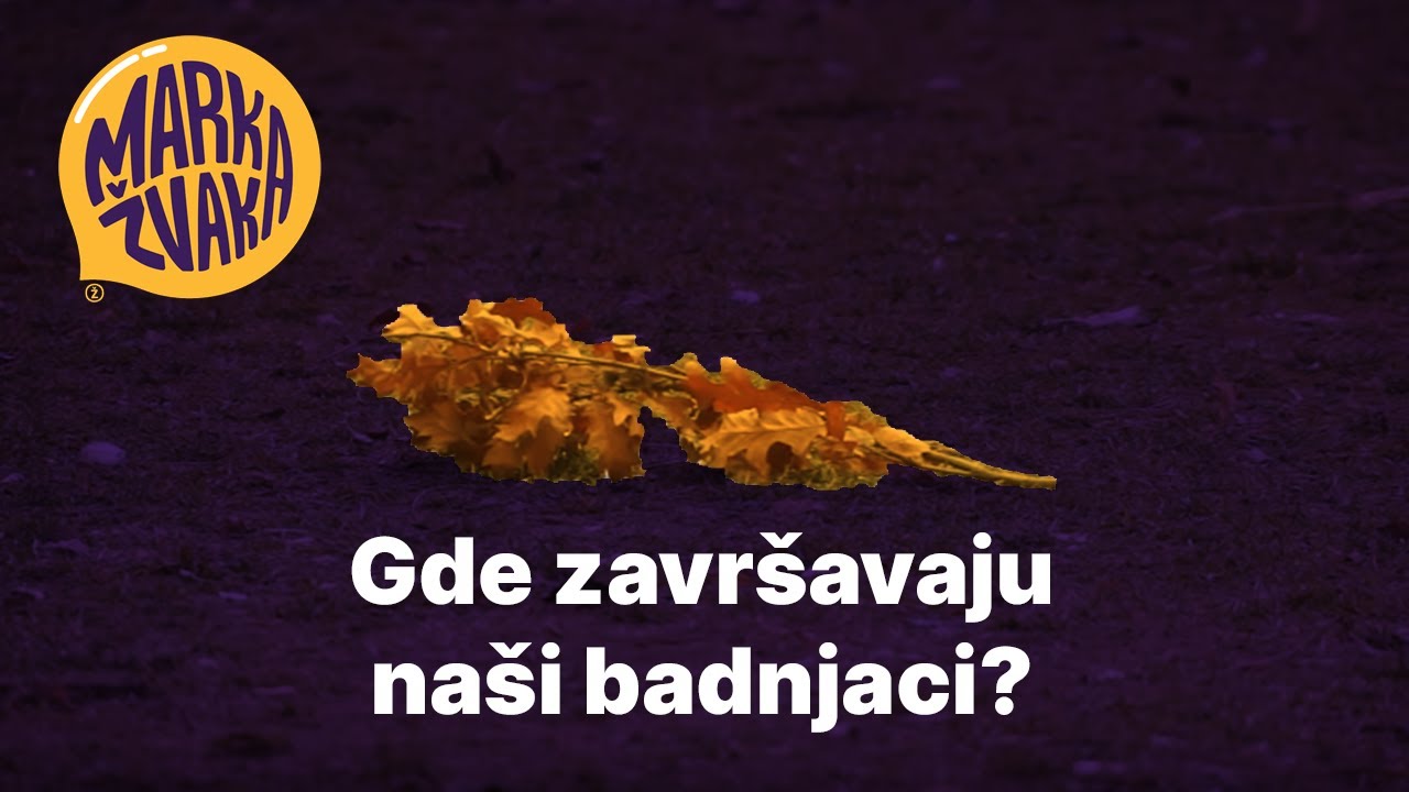 Marka Žvaka - Gde zavr&scaron;avaju na&scaron;i badnjaci?