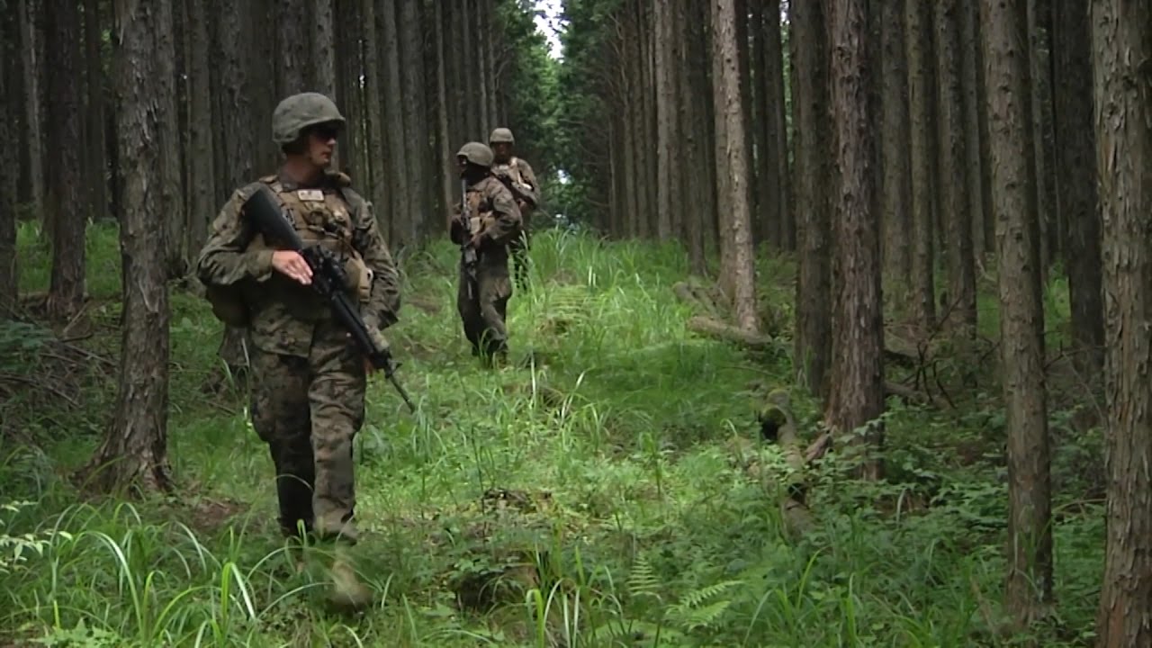 US Military Is Developing 'Seed Bombs' | Forces TV