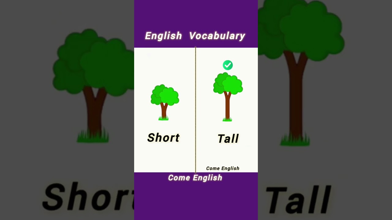 🤲Palavras Opostas em Ingl&ecirc;s.👐  