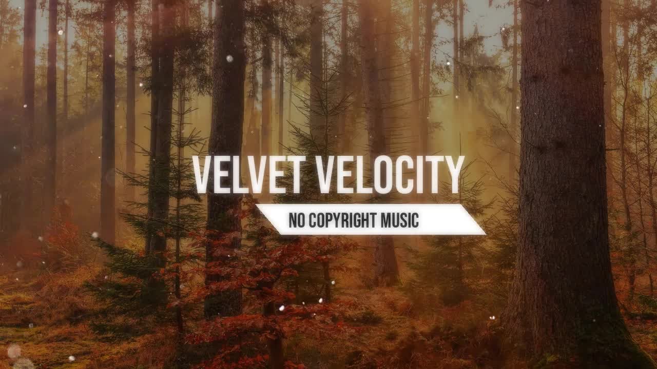 Velvet Velocity Energetic Electronic No Copyright Music