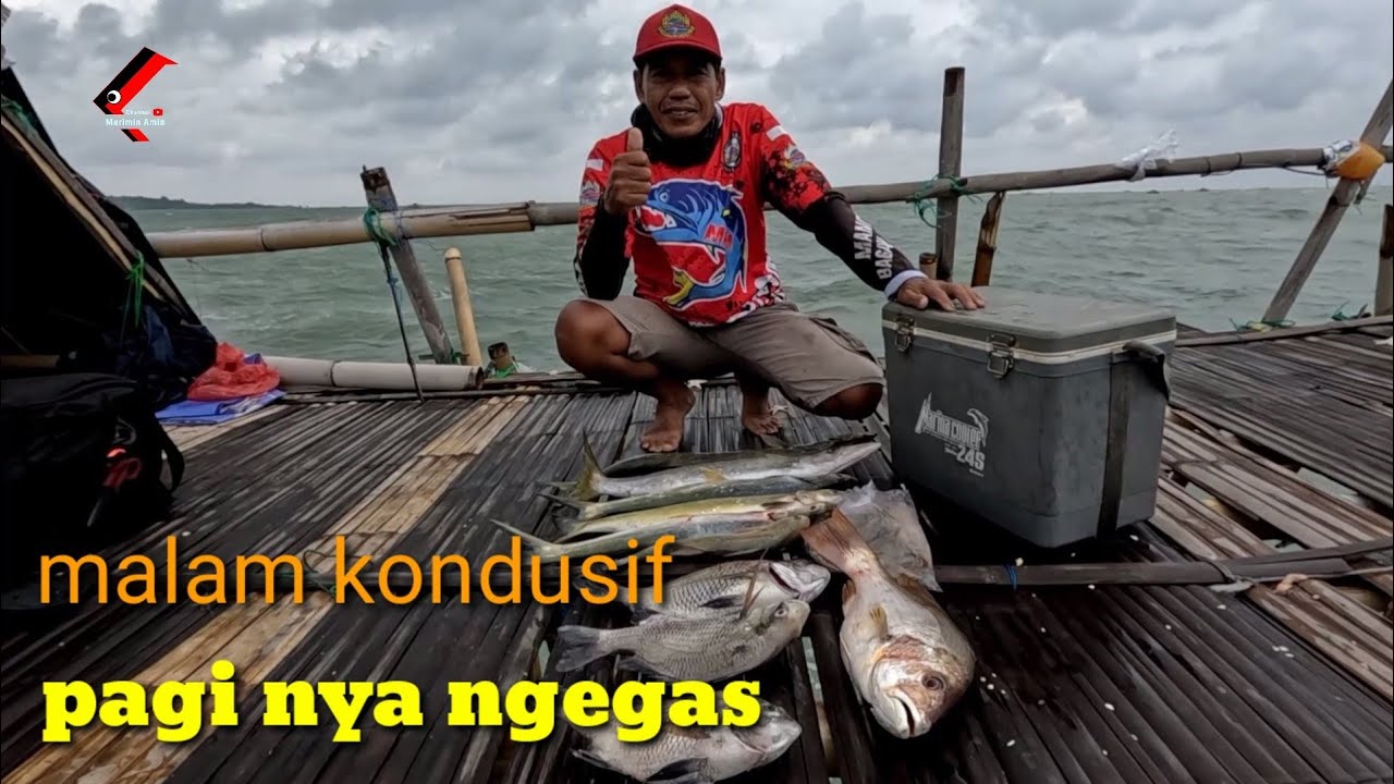 Mancing di bagan mamung Tj kait