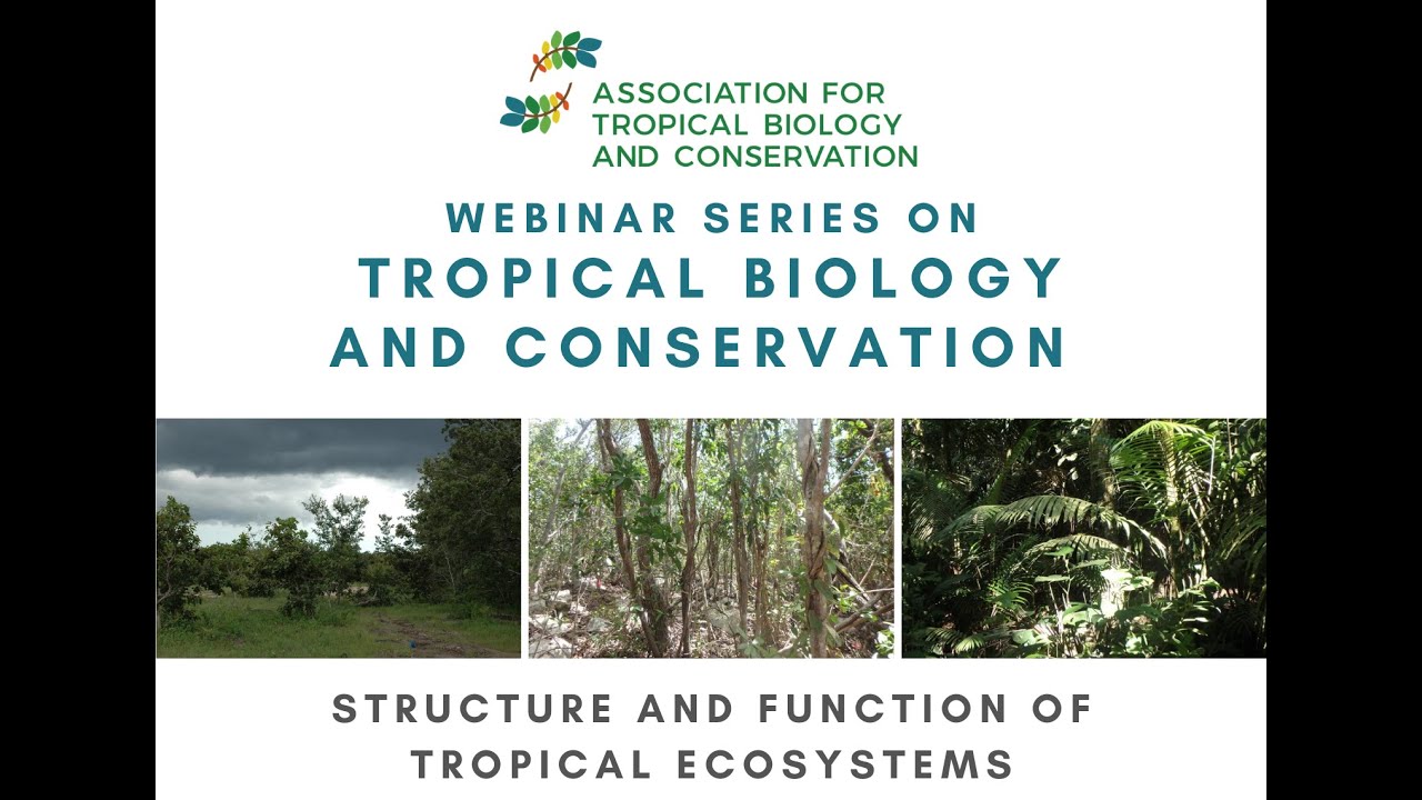 ATBC 2020 Webinar: Structure and Function of Tropical Ecosystems