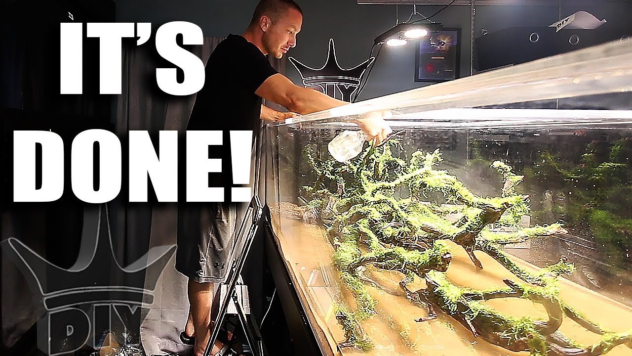 PLANTING MY HUGE AQUARIUM!! I LOVE IT!!