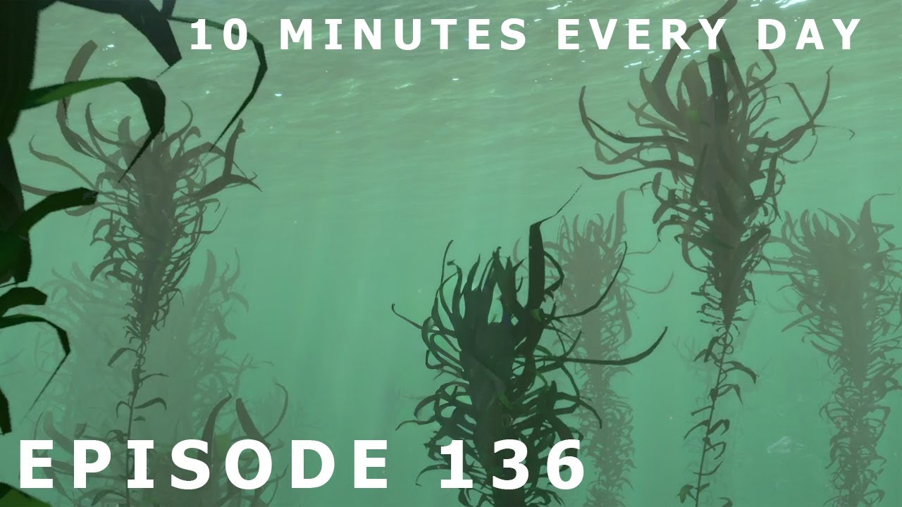 WHAT IS THIS FELIX BLUD DOING IN THE OCEAN IS BLUD SWIMMING | Episode 136