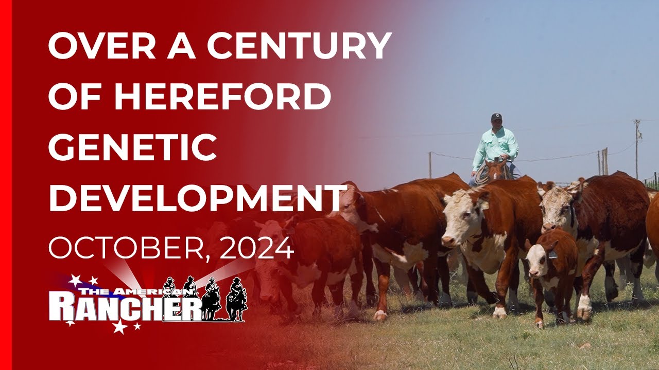 Barber Hereford Ranch   The American Rancher   10 14 24
