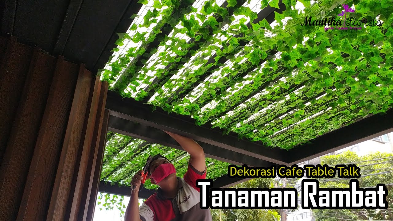 Tanaman Rambat Plastik Untuk Kanopi