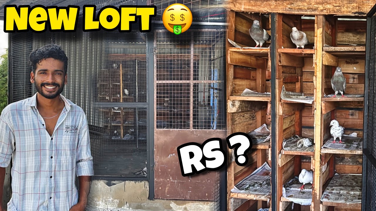 പുതിയ പറവ loft പണിതു 😍ഏത്ര Rs ആയി New Peigion Loft