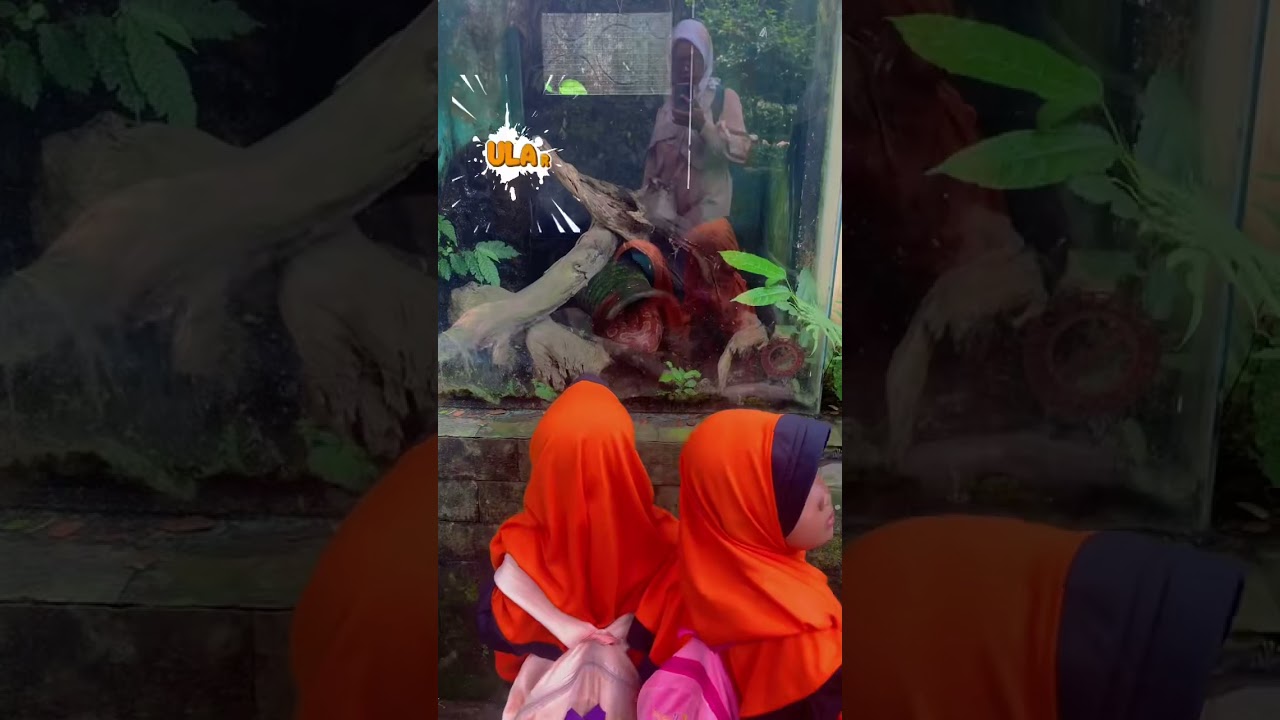 Piknik Sekolah kakak Part 2!! Siapa yang ikut kemarin?