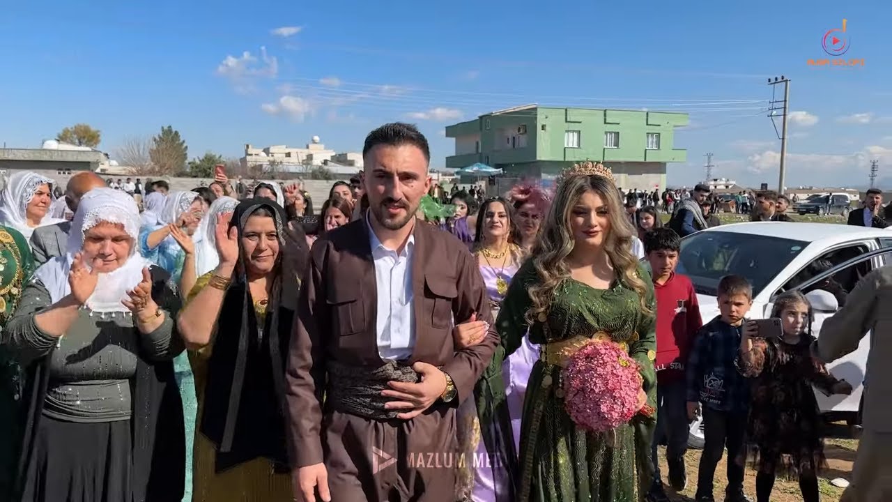 Okan Levend Nişanı Part - 2 Misareşi Aşireti Düğünleri | Musa Silopi | Mazlum Media