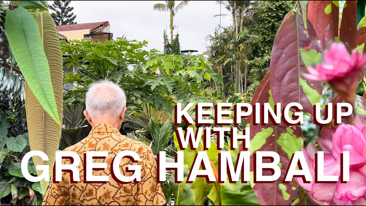 Keeping up with Greg Hambali - a fast-paced botanical experience with the world’s best hybridizer
