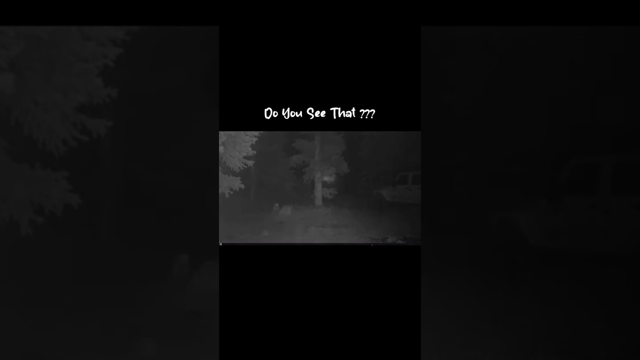 Invisible Creature Caught on Cam 