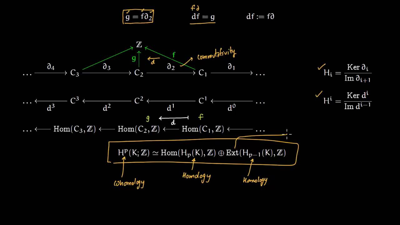 Homology to Cohomology