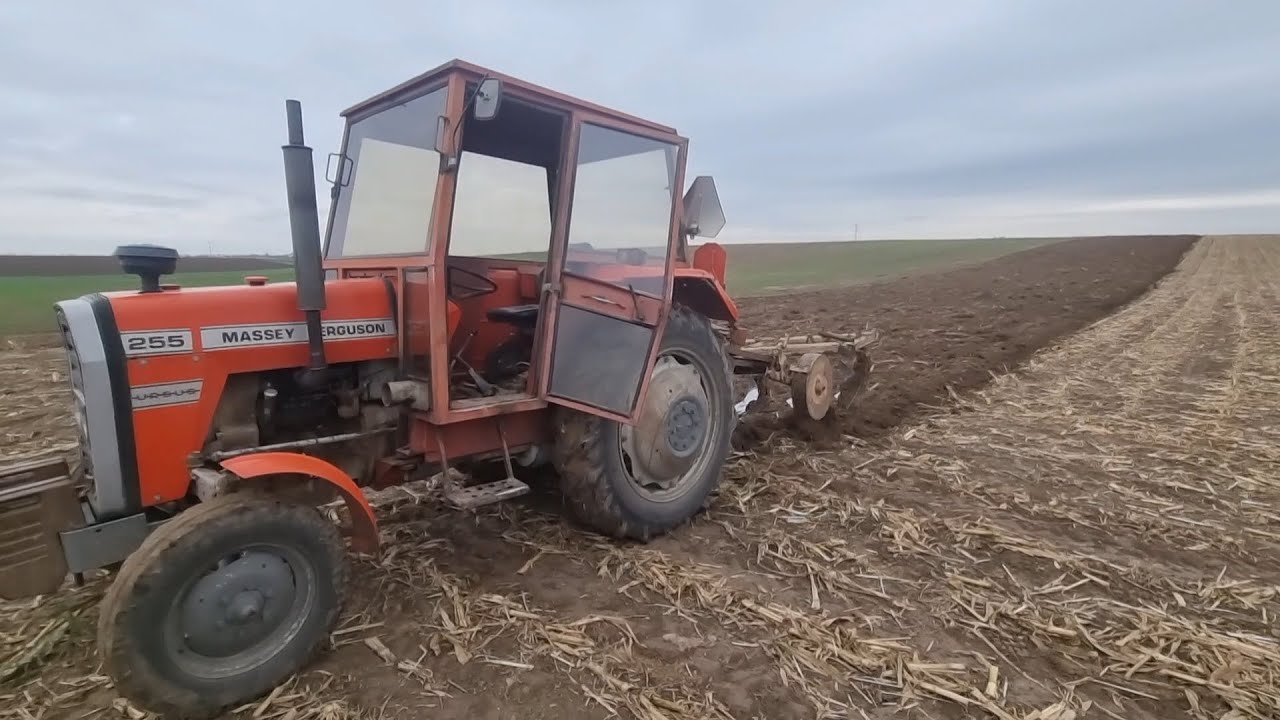 MF255 kontra pług pięcioskibowy