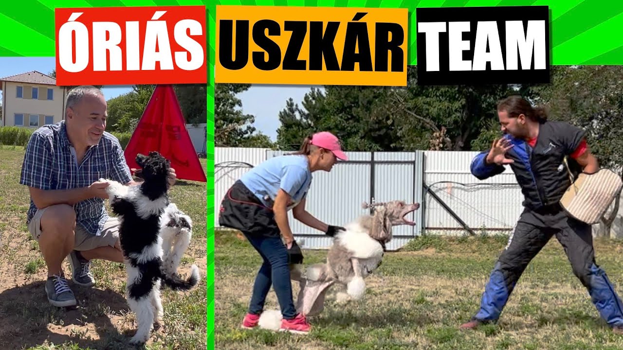 Óriás USZKÁR - ahogy még nem láttad!