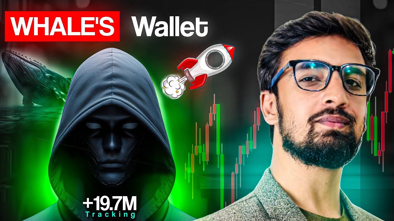 How to track whales wallets ? | crypto whales wallet trading tricks