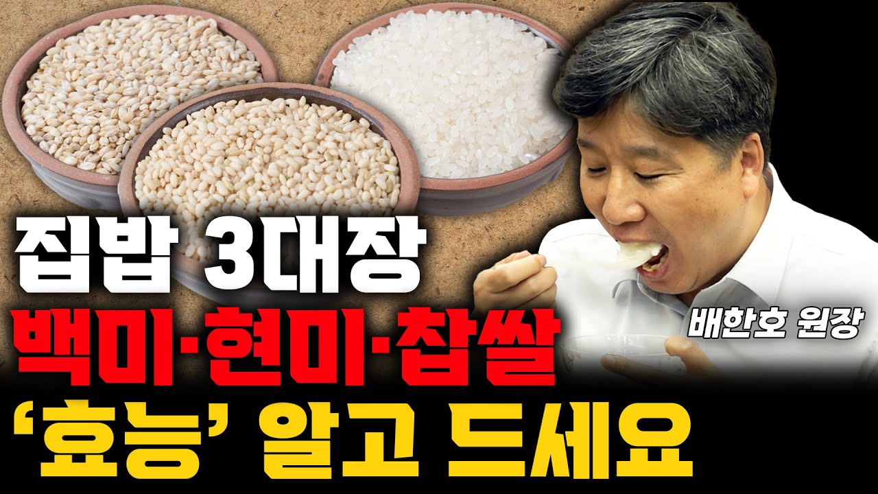 여러분은 그동안 잘못 알고계셨습니다.찹쌀,현미,백미 한방에 정리해 드립니다.(배한호 한의사) #건강 #현미 #백미 #찹쌀