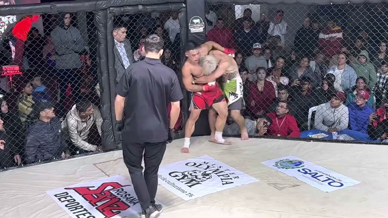 Luciano Pereira vs. Gabriel Ziller 1 | SFH 9 FULL FIGHT