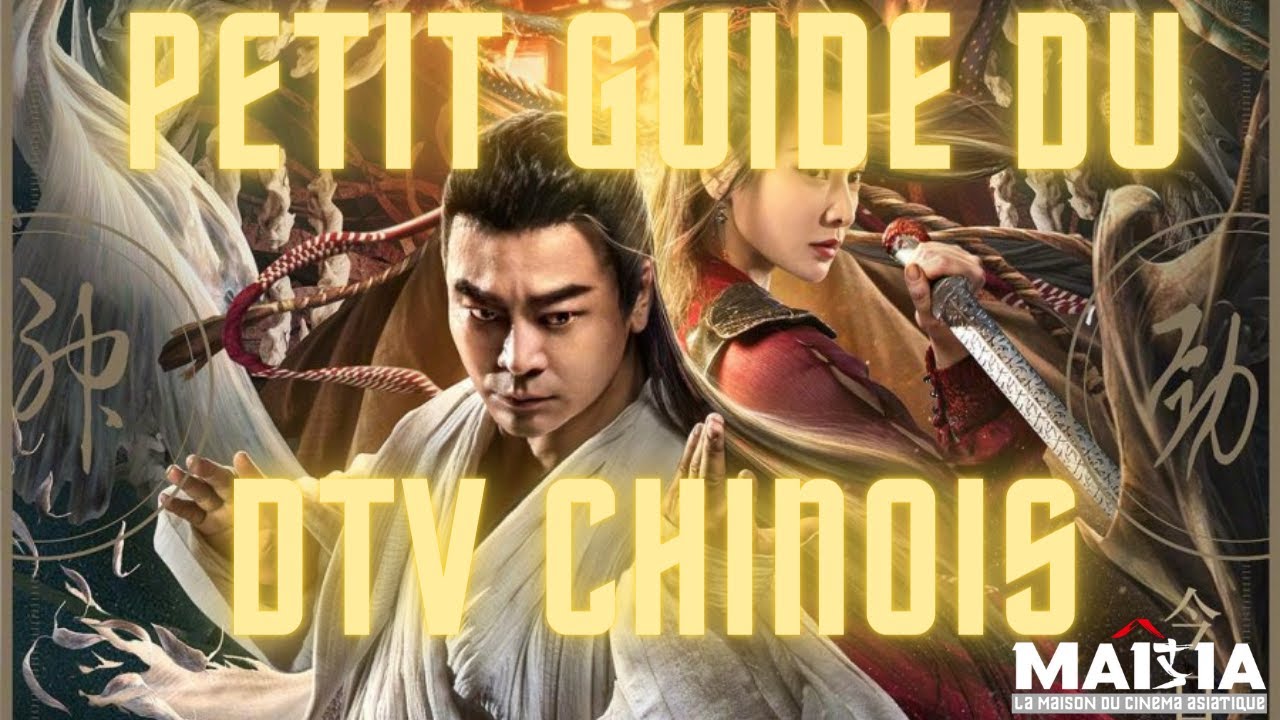 Petit guide du DTV chinois