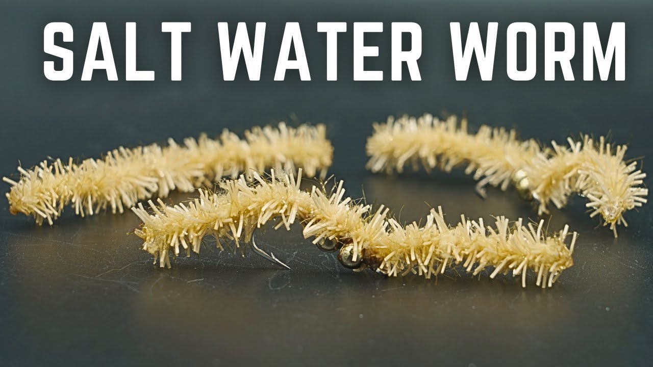 Try THIS Productive Salt Water and Bass Pattern!