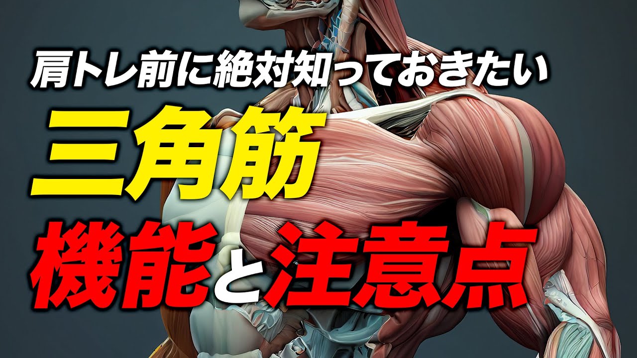 【筋トレ】肩の三角筋の機能とレーニングの3つ注意点 | ボディビルチャンピオンが解説【ビーレジェンド プロテイン】