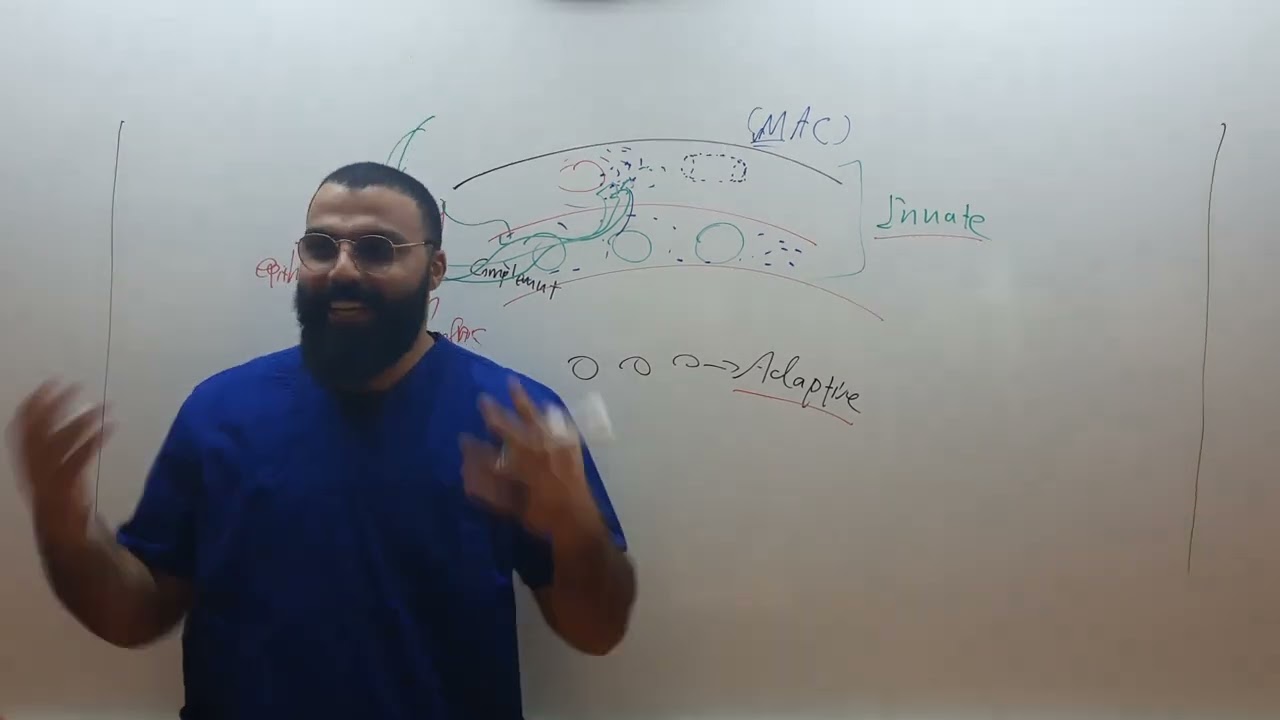 immunology | innate immunity  | part 3