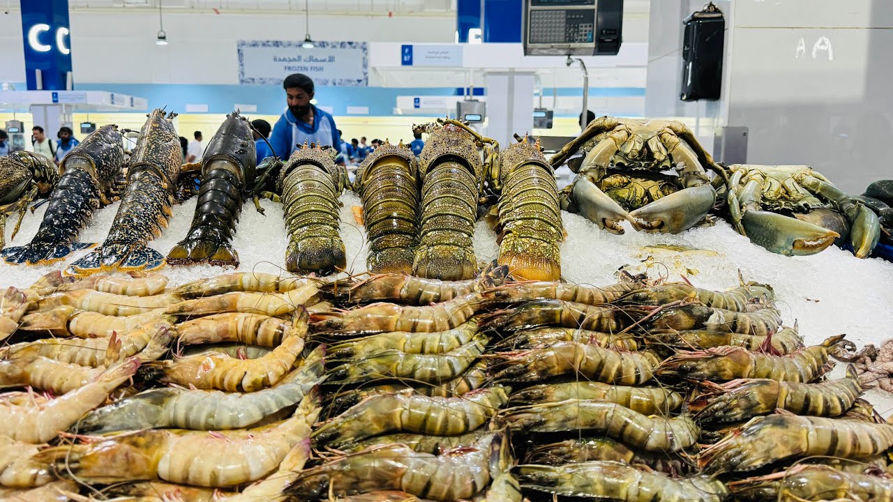 Water Front Dubai Fish Market | Largest Fish Market In UAE | The mind breezer