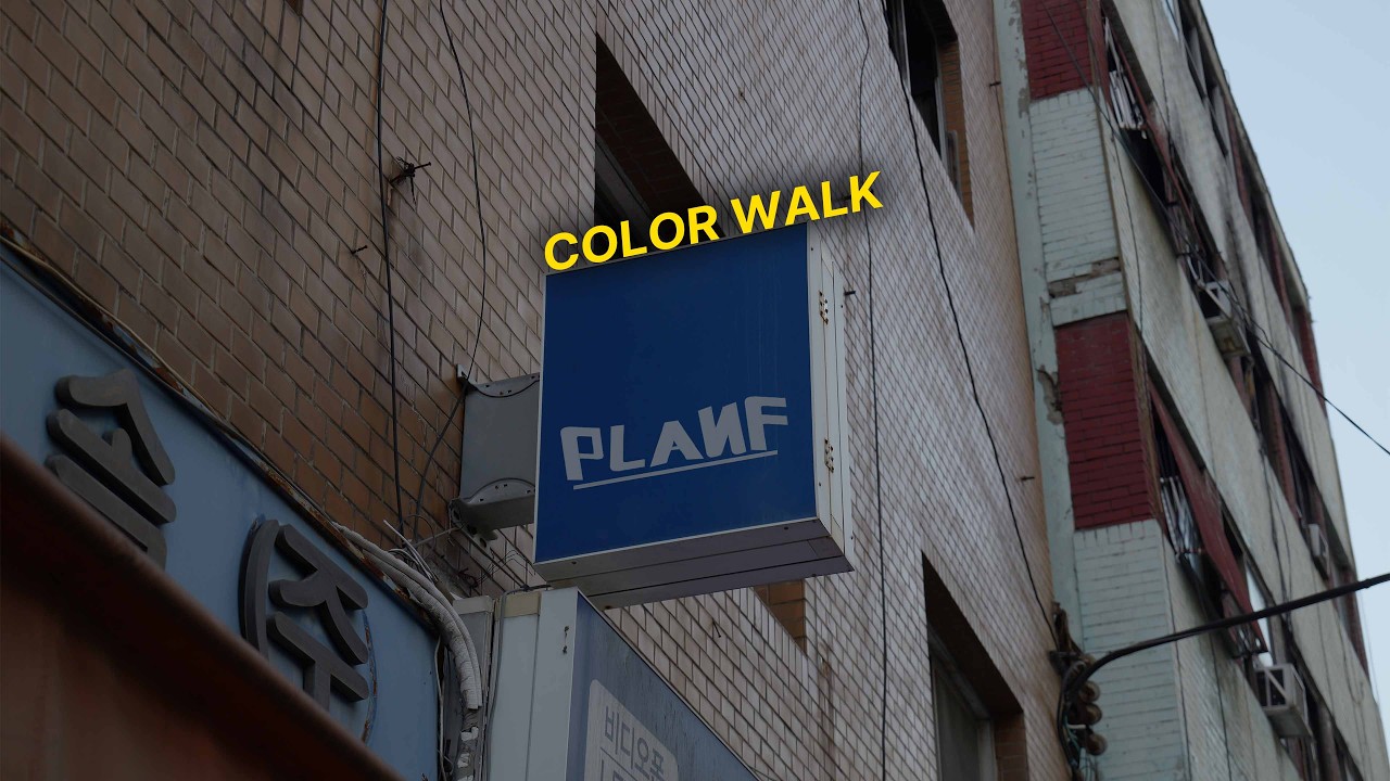 COLOR  WALK | 을지로 사진
