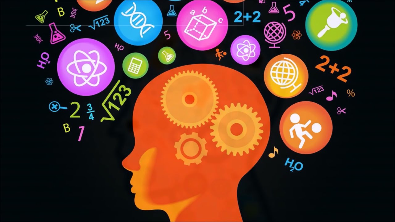 Neurofisiolog&iacute;a: Generalidades
