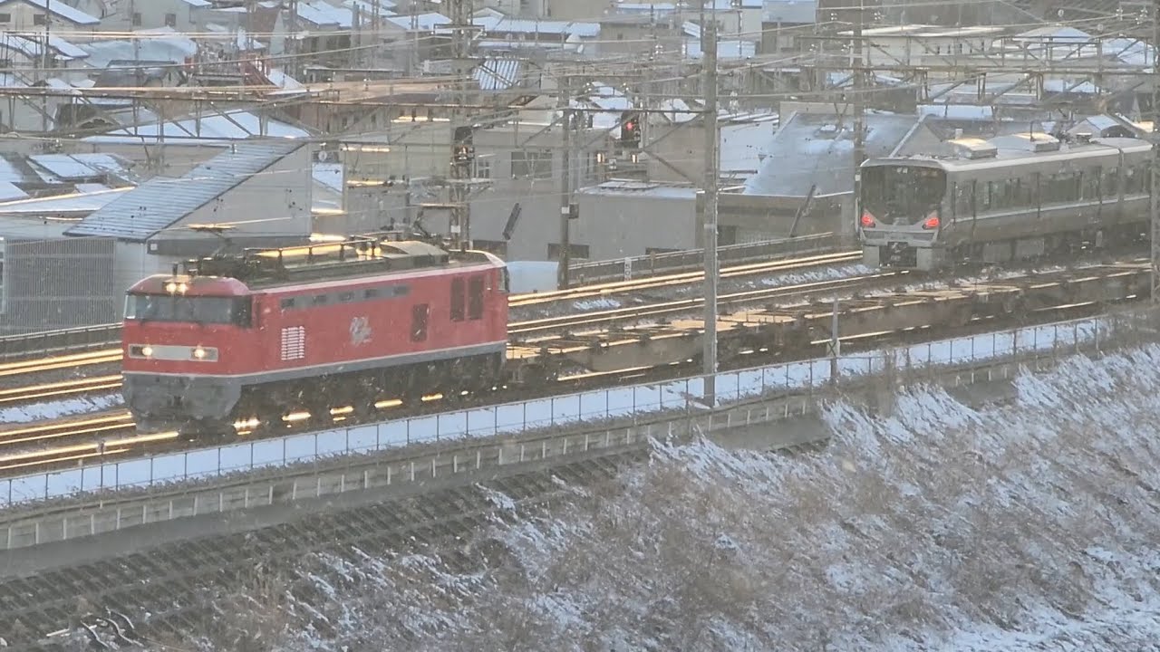 琵琶湖線 山科付近を走るEF510-16号機牽引 臨8561レ(2/8)