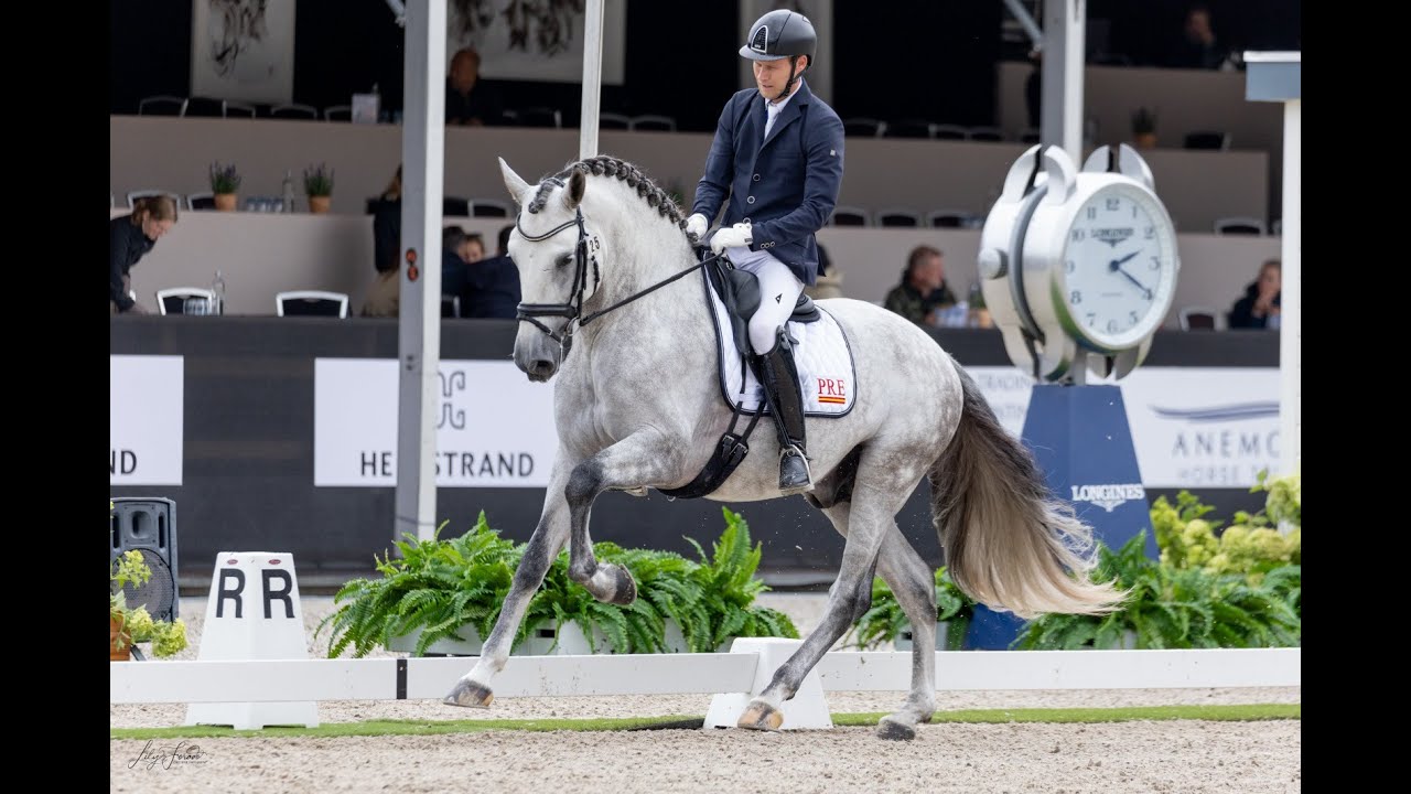 Joseph Robert Hunt y Druida de Centurión en la Preliminar de 5 años  (73.800%).